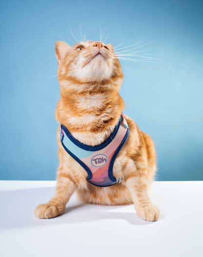 Cat H-Harness Comfort + Leash Set Alpaca