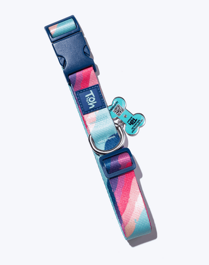 Adjustable Dog Collar with ID Tag Alpaca