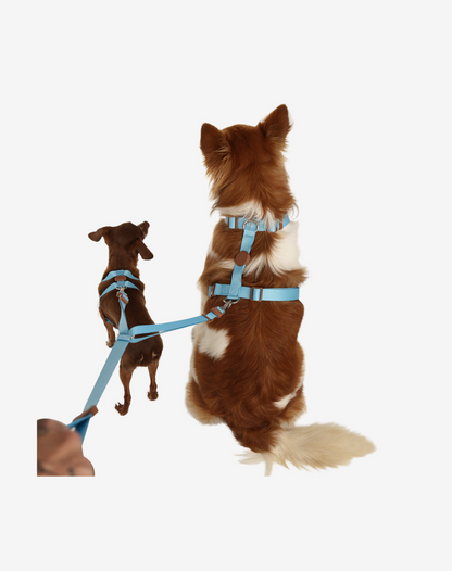 Double Leash Blue
