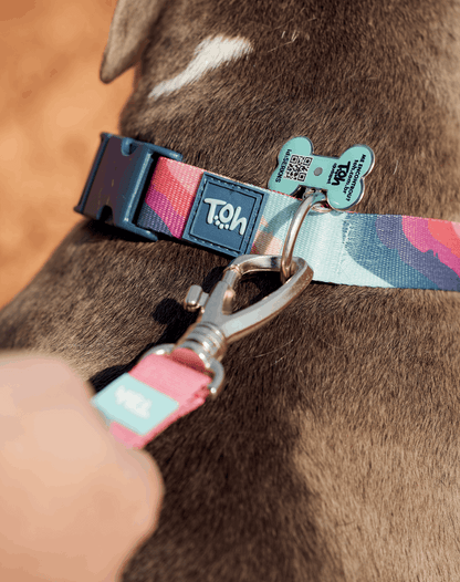 Adjustable Dog Collar with ID Tag Alpaca