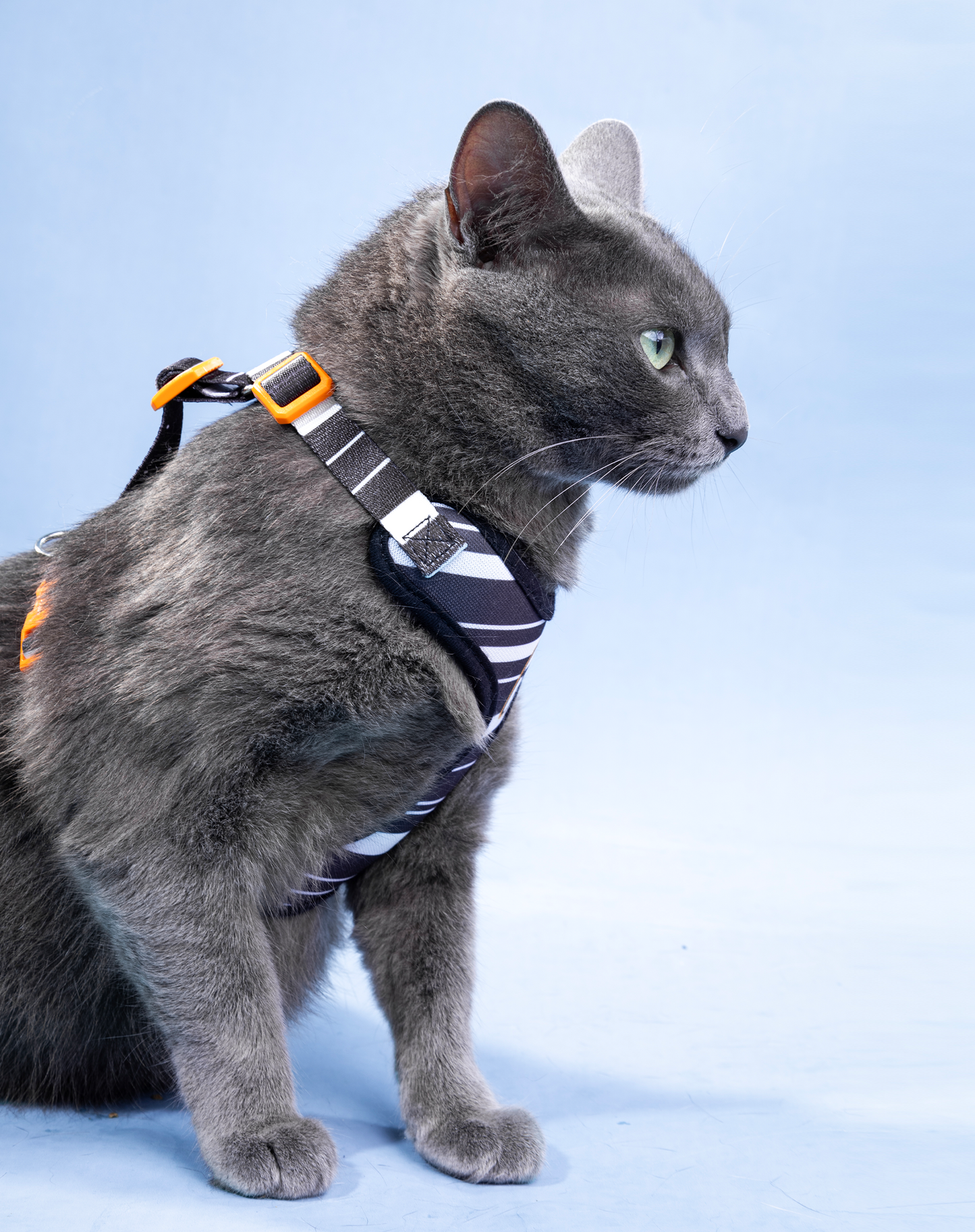 Cat H-Harness Comfort + Leash Set Eclipse