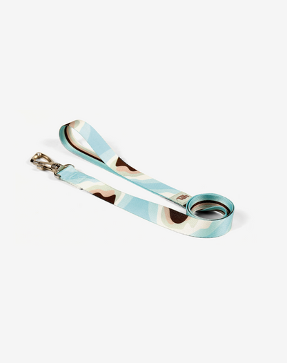 Dog Leash S Swell