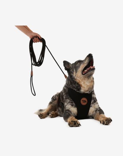 Long Rope Dog Leash Black