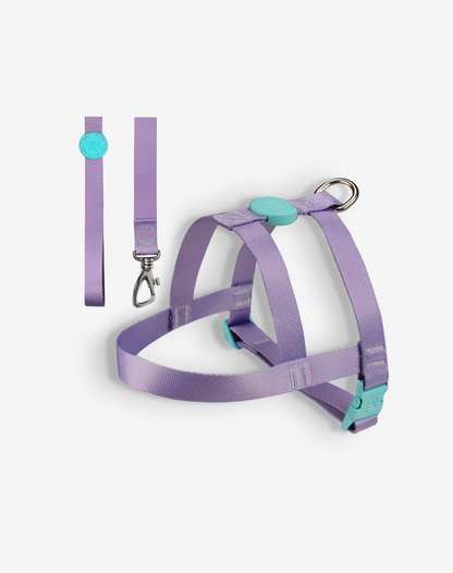 Conjunto básico de arnês + guia lilás