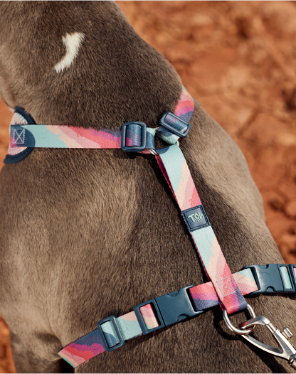 H Mesh Dog Harness + Leash Alpaca