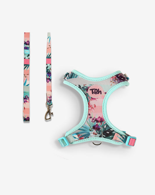 Cat H-Harness Comfort + Leash Set Laguna
