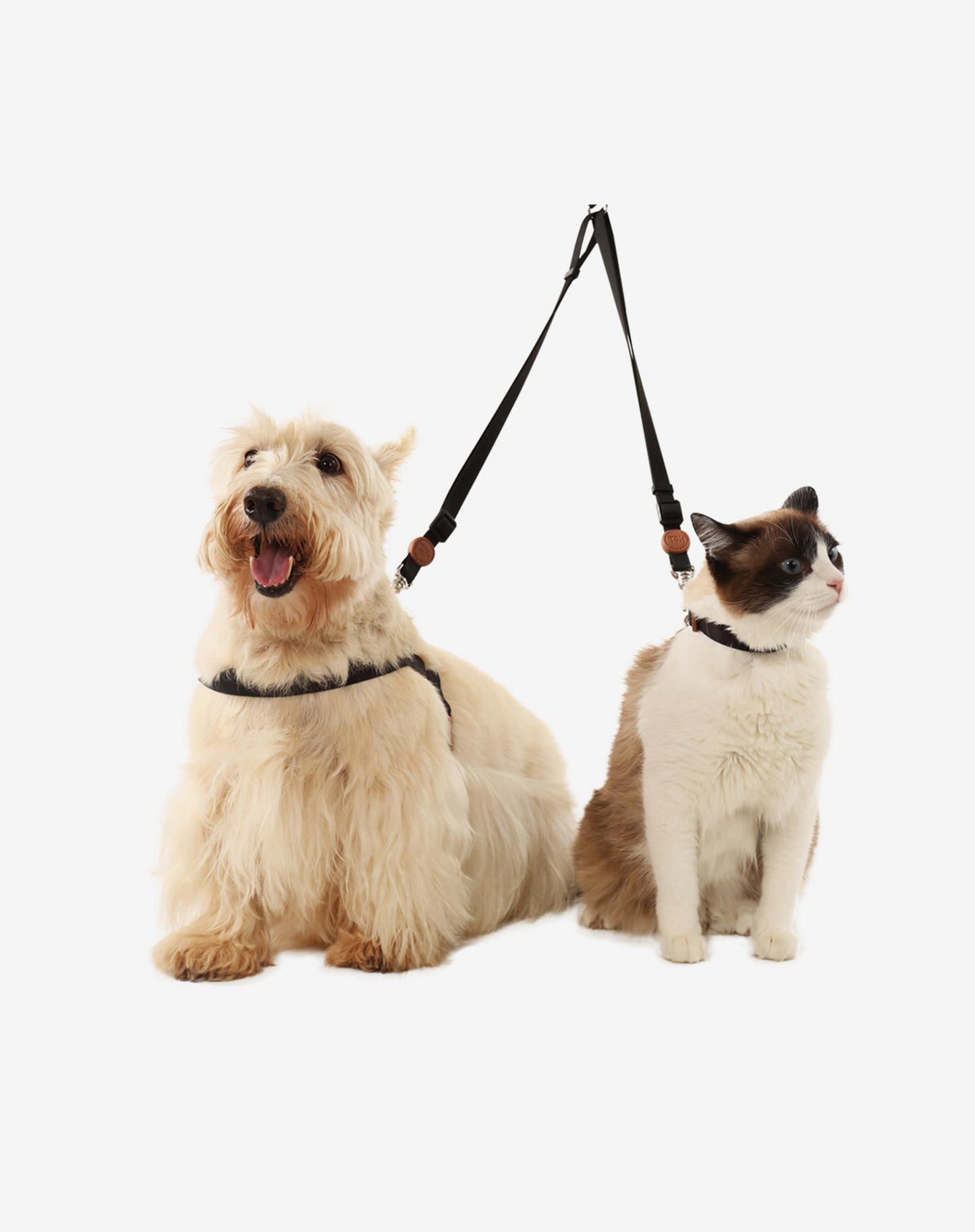 Double Leash Black