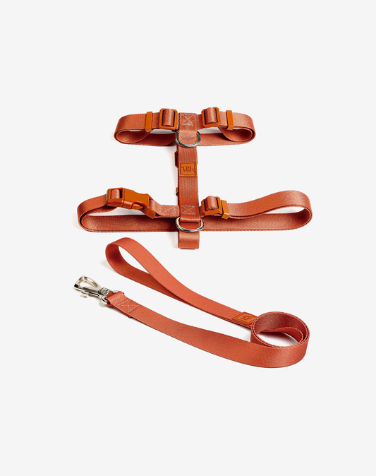 The H-Harness + Leash Set Coral