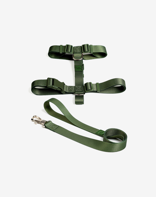 The H-Harness + Leash Set Florest