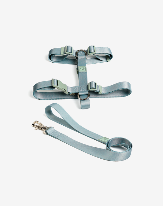 The H-Harness + Leash Set Alga