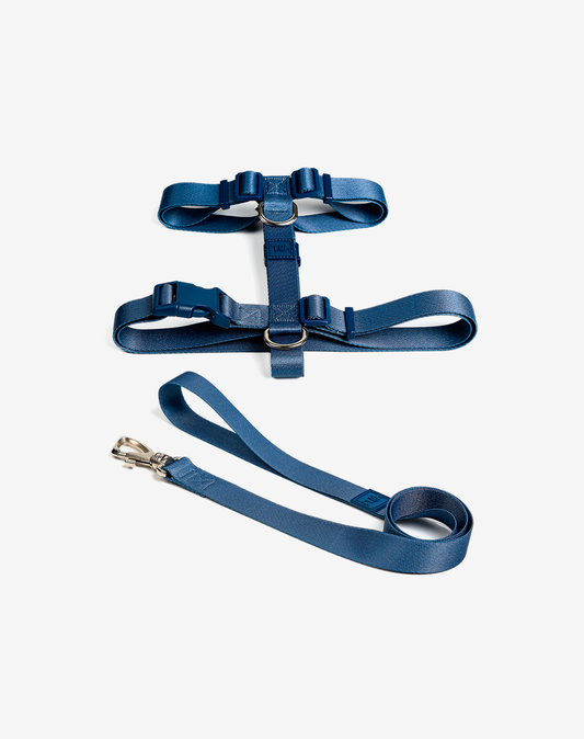 The H-Harness + Leash Set Marine