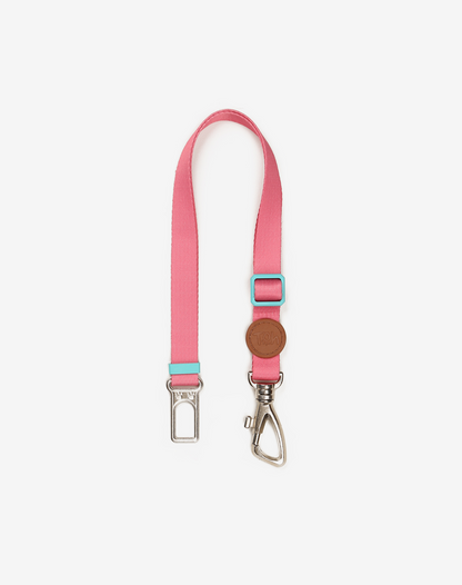 Cintos de segurança para cães Fiji
