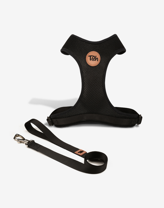 H Mesh Dog Harness + Leash Black