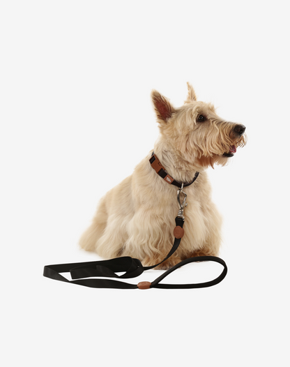 1.50m Comfort Leash Black